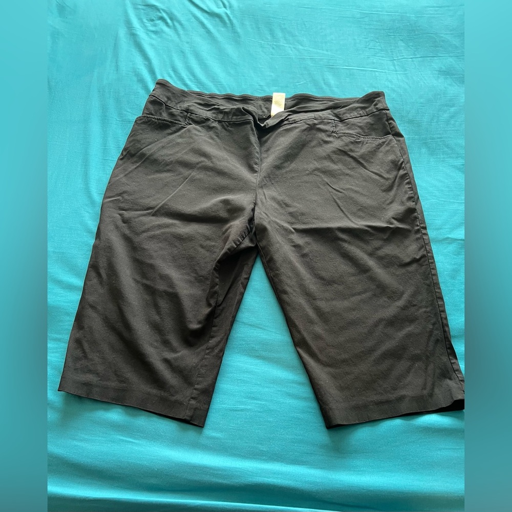 Terra & Sky Size 3X (22/24) Cropped Dress slacks